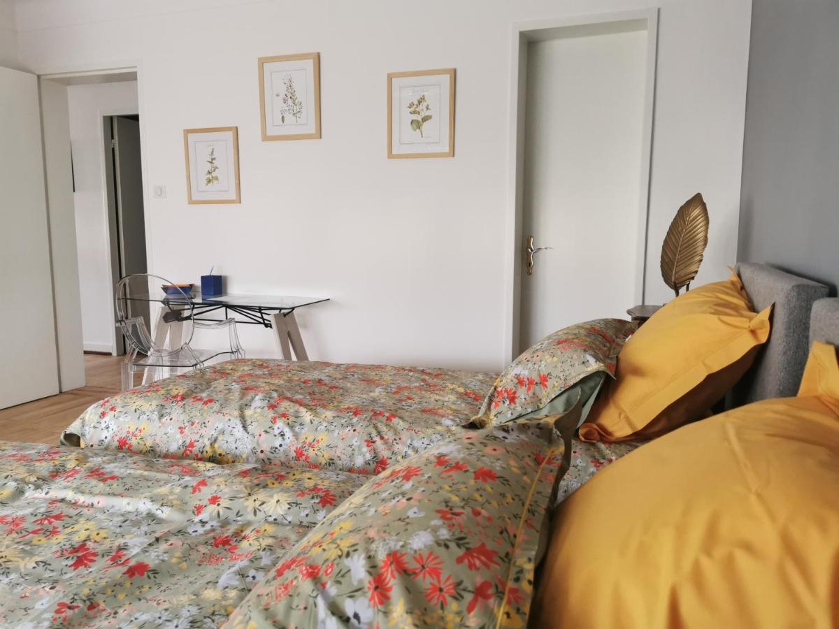 La Maison De Lucie - Grande Maison Ideale En Famille Ou Entre Amis - Jardin - Parking Gratuit Sélestat Dış mekan fotoğraf