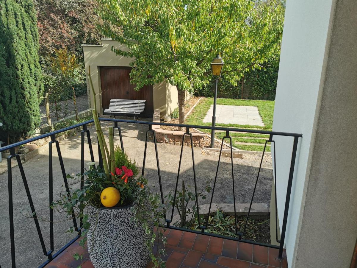 La Maison De Lucie - Grande Maison Ideale En Famille Ou Entre Amis - Jardin - Parking Gratuit Sélestat Dış mekan fotoğraf
